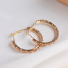 Savana Gold Hoops